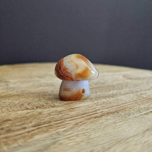 Sardonyx | Mushroom 40gms