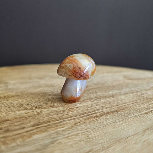 Sardonyx | Mushroom 40gms