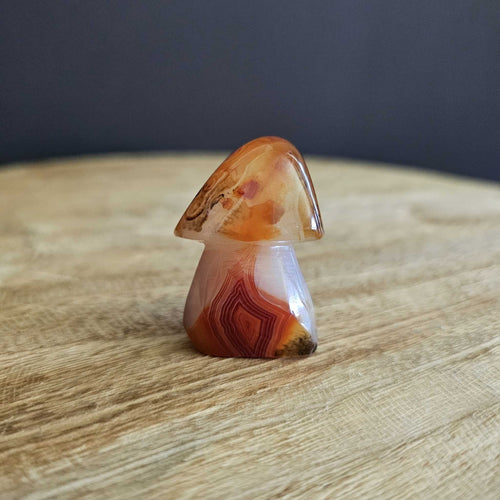 Sardonyx | Mushroom 50gms