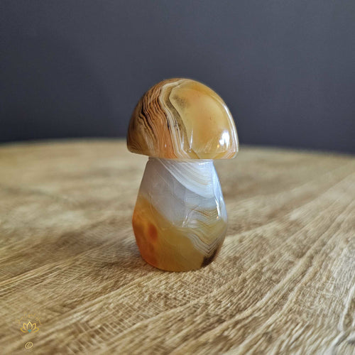 Sardonyx | Mushroom 50gms