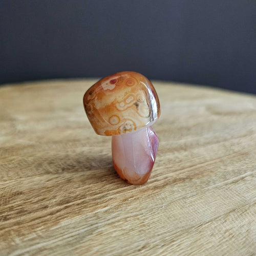 Sardonyx | Mushroom 50gms