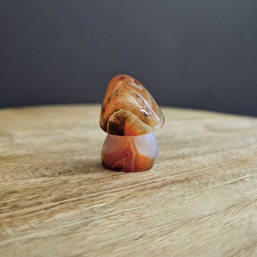 Sardonyx | Mushroom 50gms