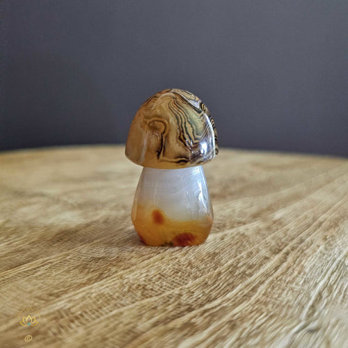 Sardonyx | Mushroom 50gms