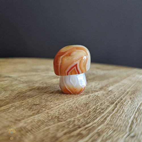 Sardonyx | Mushroom 51gm