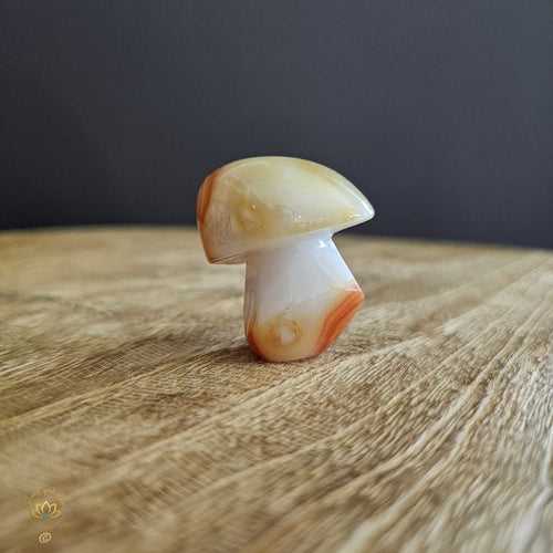 Sardonyx | Mushroom 51gm