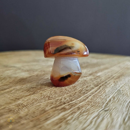 Sardonyx | Mushroom 51gms