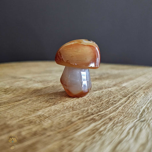 Sardonyx | Mushroom 51gms