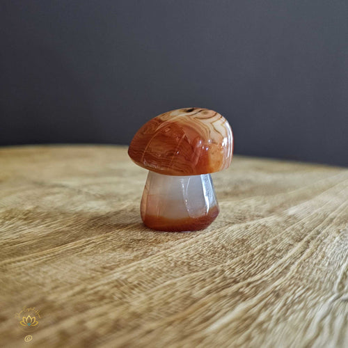 Sardonyx | Mushroom 51gms