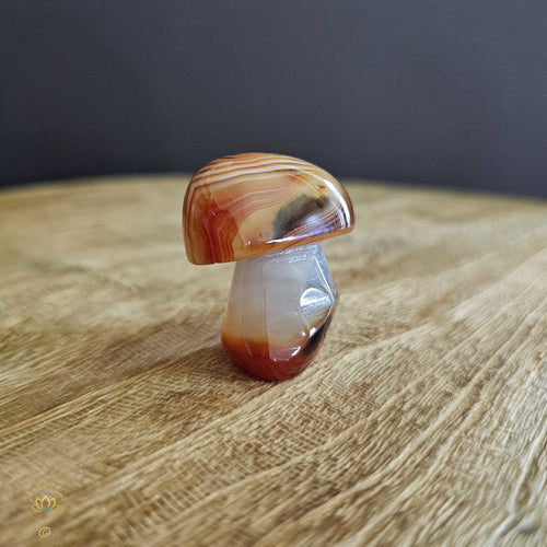 Sardonyx | Mushroom 51gms