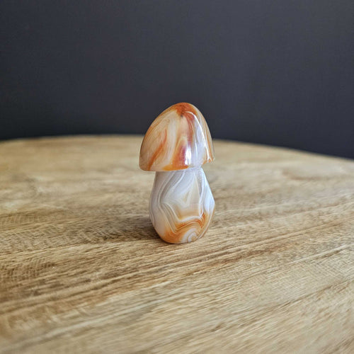 Sardonyx | Mushroom 54gms