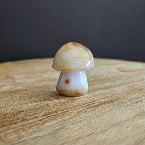 Sardonyx | Mushroom 54gms