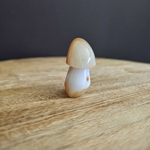 Sardonyx | Mushroom 54gms