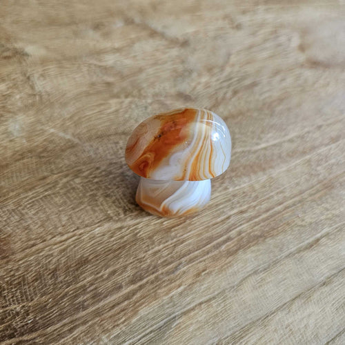 Sardonyx | Mushroom 54gms