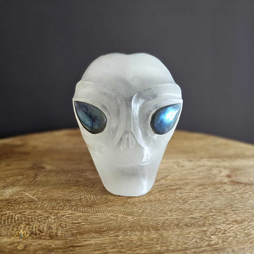 Selenite Alien Skull | Galactic Visionary