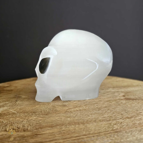 Selenite Alien Skull | Galactic Visionary