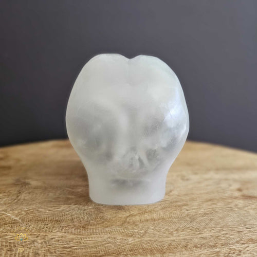 Selenite Alien Skull | Galactic Visionary