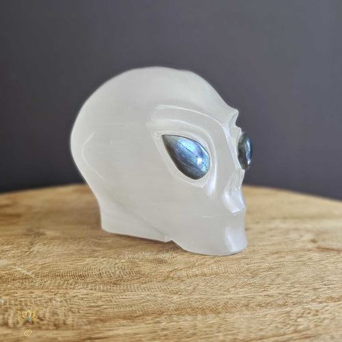 Selenite Alien Skull | Galactic Visionary