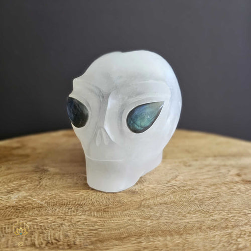 Selenite Alien Skull | Galactic Visionary