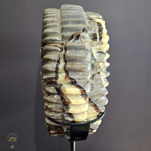 Septarian | Ammonite Carving 9.5kgs