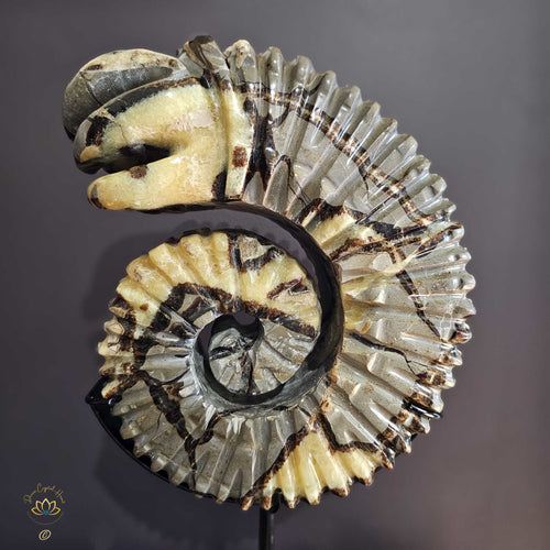 Septarian | Ammonite Carving 9.5kgs