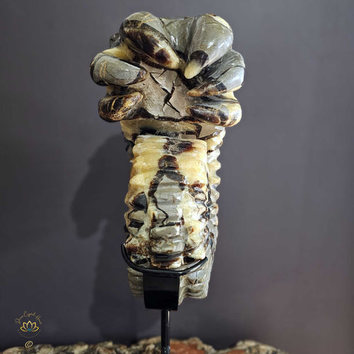 Septarian | Ammonite Carving 9.5kgs