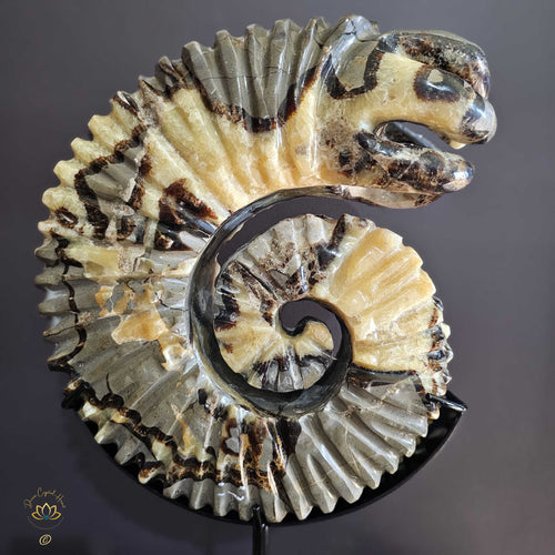 Septarian | Ammonite Carving 9.5kgs