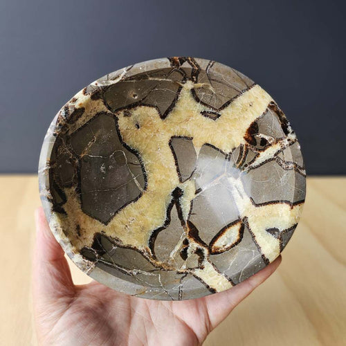 Septarian | Bowl 1.11kgs