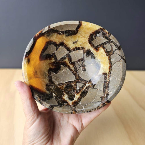 Septarian | Bowl 1.3kgs