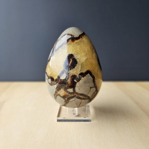 Septarian | Egg 1.11kgs