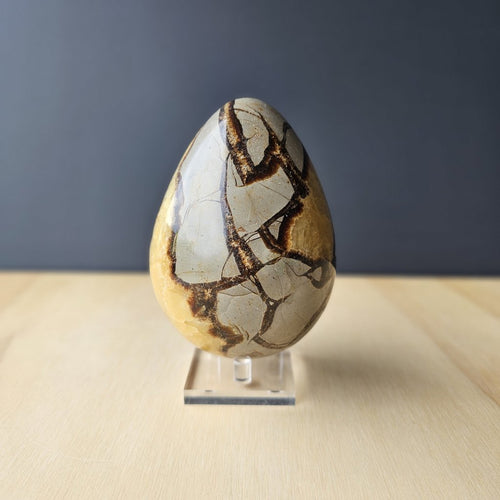Septarian | Egg 1.11kgs