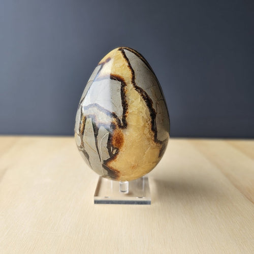 Septarian | Egg 1.11kgs