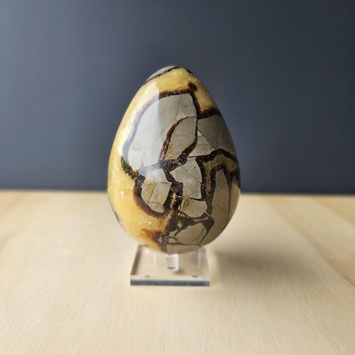 Septarian | Egg 1.11kgs