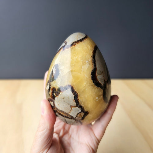 Septarian | Egg 1.11kgs