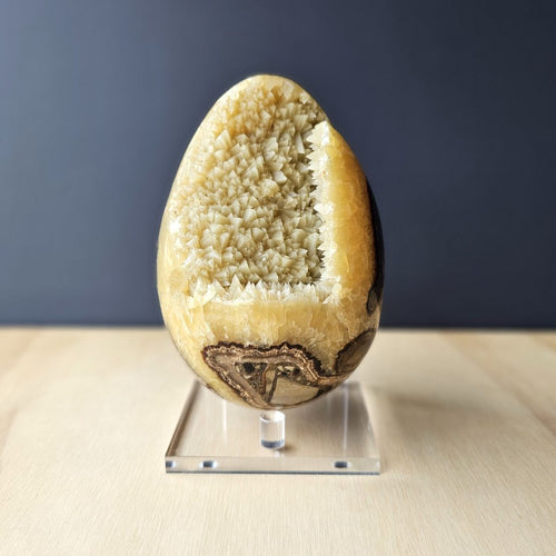 Septarian | Egg 1.4kgs