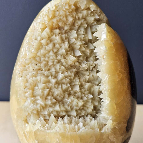 Septarian | Egg 1.4kgs
