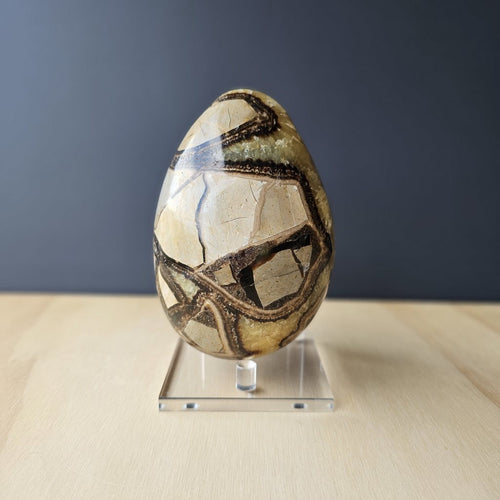 Septarian | Egg 1.4kgs