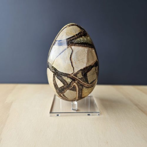 Septarian | Egg 1.4kgs