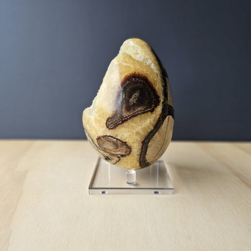 Septarian | Egg 1.4kgs