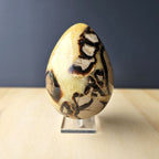 Septarian | Egg 1.55kgs