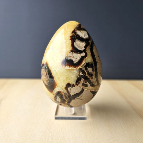 Septarian | Egg 1.55kgs
