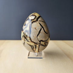 Septarian | Egg 1.55kgs