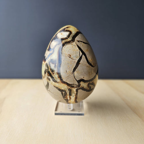 Septarian | Egg 1.55kgs