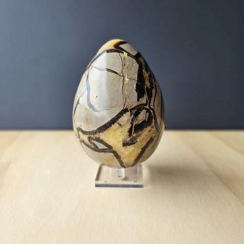 Septarian | Egg 1.55kgs