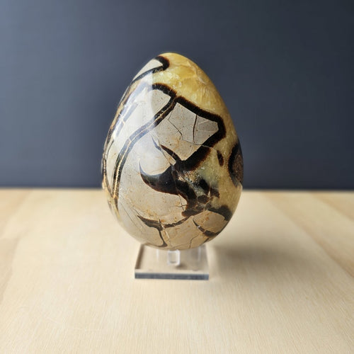 Septarian | Egg 1.55kgs