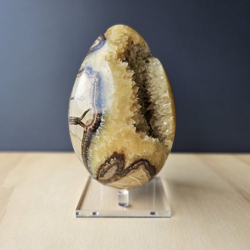 Septarian | Egg 1.9kgs