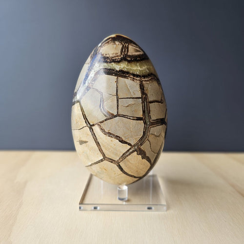 Septarian | Egg 1.9kgs