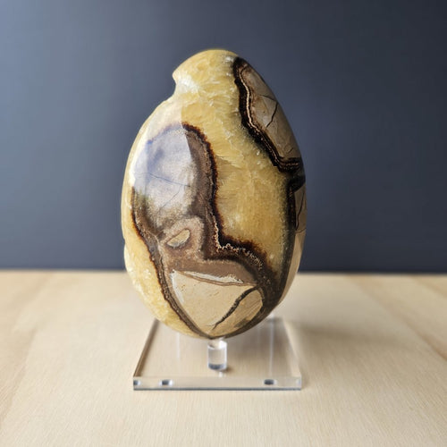 Septarian | Egg 1.9kgs