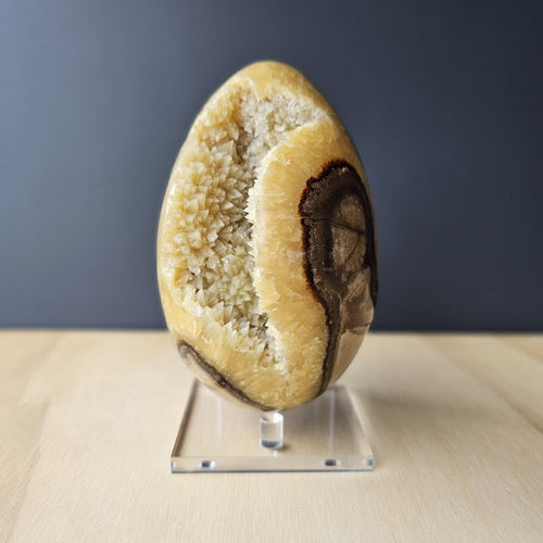 Septarian | Egg 1.9kgs