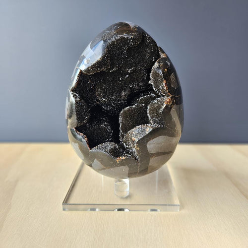Septarian | Egg 2.388kgs