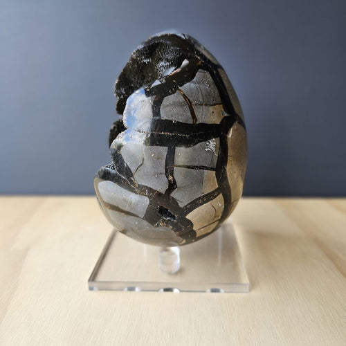 Septarian | Egg 2.388kgs
